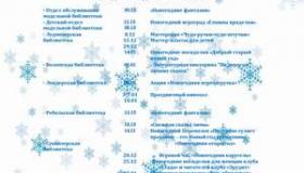 Новогодние праздники в библиотеках