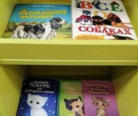 Скриншот 05.12.25_09.32.05.jpg