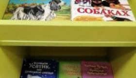 Вести из библиотек