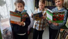 Библиотечные вести